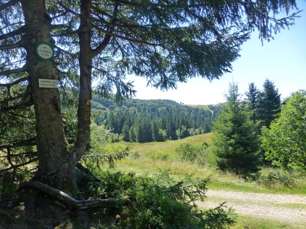 Cosy Appartement La Bresse Centre Ville Luaran gambar